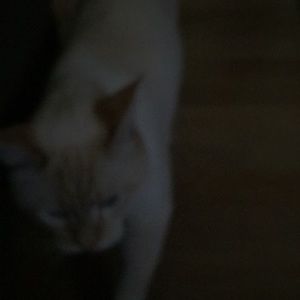 Meet your Posher, Christy